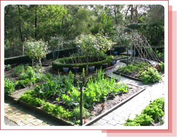 Edible Garden